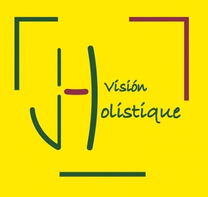 Vision Holistique logo